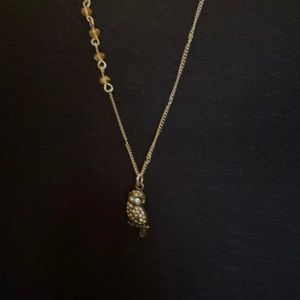 Gold Long Necklace with Owl Charm